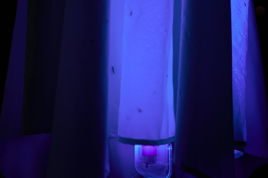 Reinhold Zisser, David Přílučík